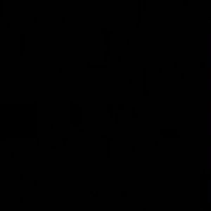 Meet your Posher, Dennis